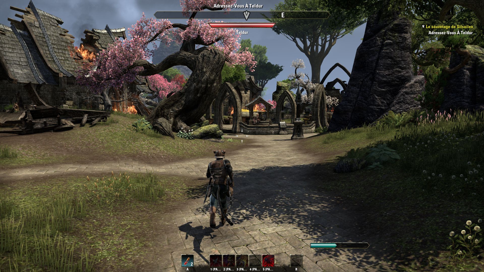 Where Is Elder Scrolls Online Patch Download To