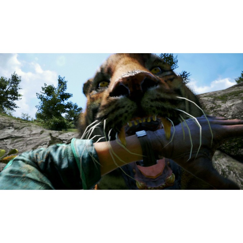 Far cry 4 ps4 сколько fps