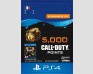 Call of Duty Black Ops IIII - DLC - 5 000 Points - Version digitale