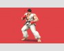 DLC - Super Smash Bros. Ryu & Stage Suzaku Castle (3DS / Wii U)