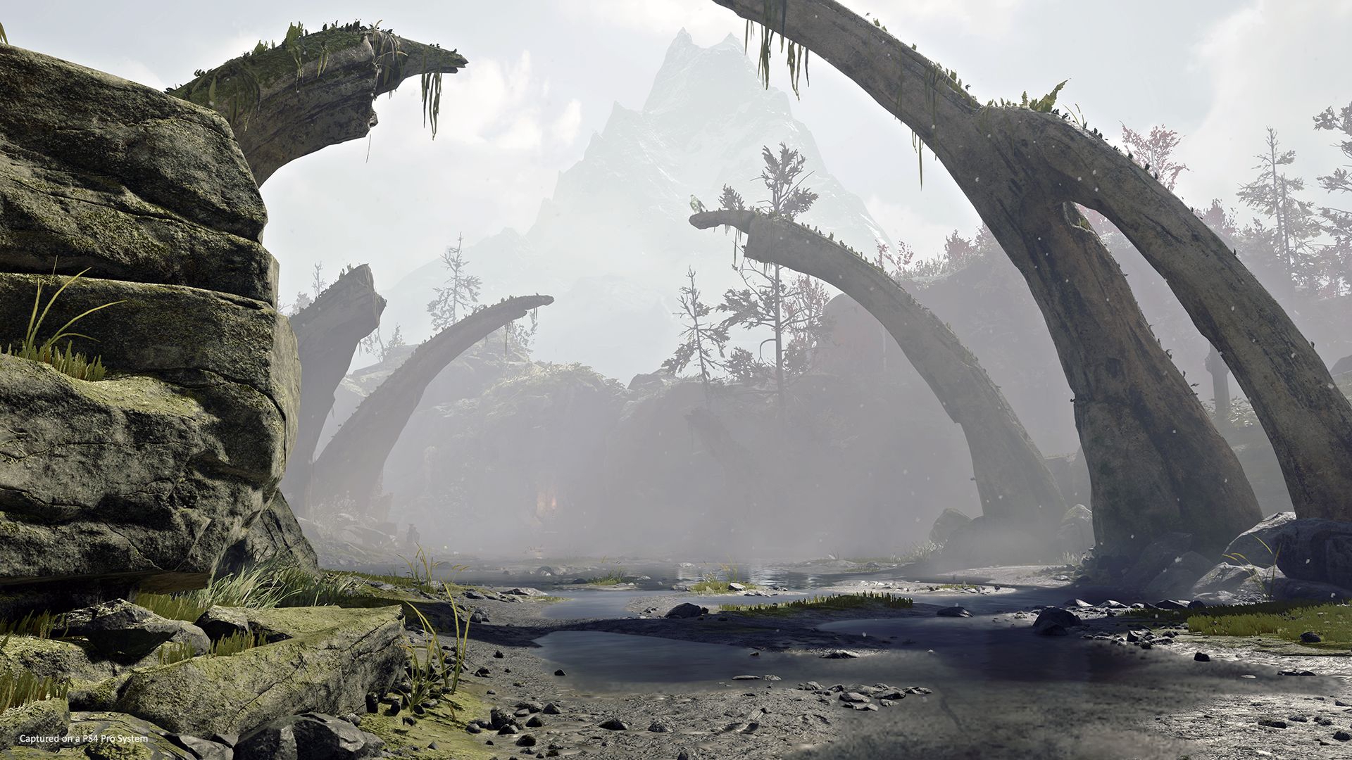 gow005 Paysage nordique dans God of War