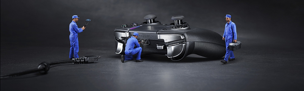 Bannière Raiju